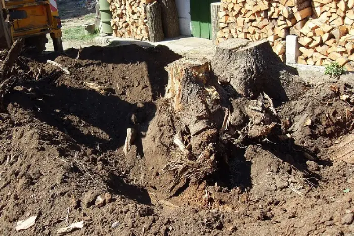 Stump Removal