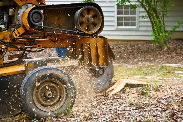 Whit's Stump Grinding's Other Services